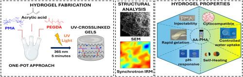 Rapid photo-crosslinkable pectin methacrylate reinforced self-healing adhesive hydrogels