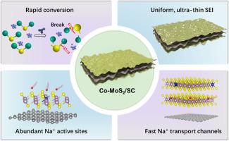 Atomic Co-driven catalysis in MoS₂ for accelerated charge transfer and stable interfacial chemistry in sodium-ion batteries