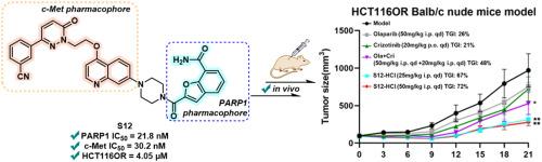 Discovery of a novel benzofuran-7-carboxamide-based PARP1/c-Met dual inhibitor for addressing c-Met amplification-mediated PARP1i acquired-resistance