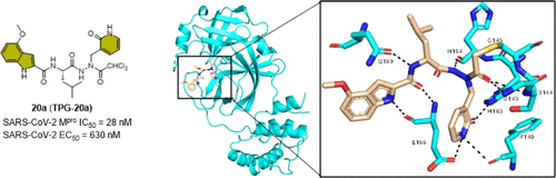 Azapeptide-Based SARS-CoV-2 Main Protease Inhibitors: Design, Synthesis, Enzyme Inhibition, Structural Determination, and Antiviral Activity
