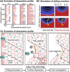 In situ TiB2 nanoparticles enable uniform electrochemical dissolution for enhanced dimensional precision and capillarity in additively manufactured micro inner channels (Φ 1.4 mm)