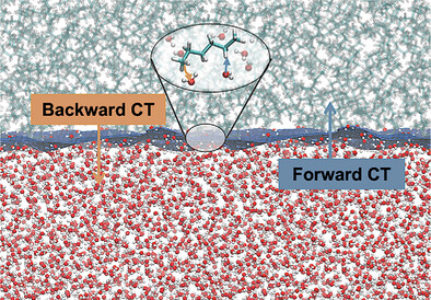 Can Charge Transfer Across C─H⋅⋅⋅O Hydrogen Bonds Stabilize Oil Droplets in Water?