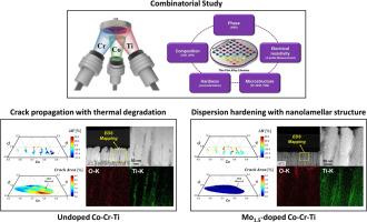 Enhancing thermal stability and crack resistance in Co-Cr-Ti superalloy films through Mo doping: A combinatorial study