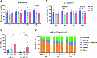 Maternal depression and offspring neurodevelopmental impairments in wild rodents induced by ecologically relevant prenatal stress