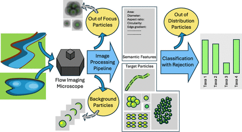 Integrating Machine Learning with Flow-Imaging Microscopy for Automated Monitoring of Algal Blooms