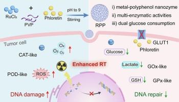 Tumor microenvironment-responsive metal-natural polyphenol nanozyme for radiosensitization by interfering glucose metabolism and redox homeostasis