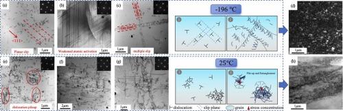 Cryogenic deformation-induced dislocation behavior and substructural evolution in 6061 aluminum alloy