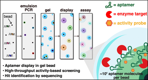 Hydrogel-Bead Particles Enable Activity-Based Identification of Nucleic Acid Aptamer Enzyme Inhibitors