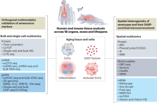 Advancing biological understanding of cellular senescence with computational multiomics