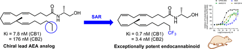 Exceptionally Potent Chiral Anandamide Analogs