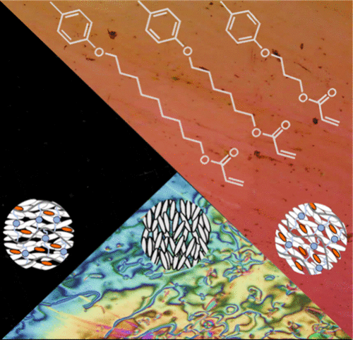 What Is the Right Chain Length? Liquid Crystalline Network Tuning by Molecular Design