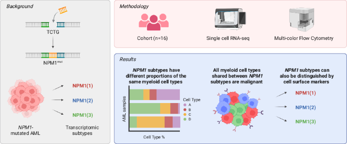 Resolving inter- and intra-patient heterogeneity in NPM1-mutated AML at single-cell resolution