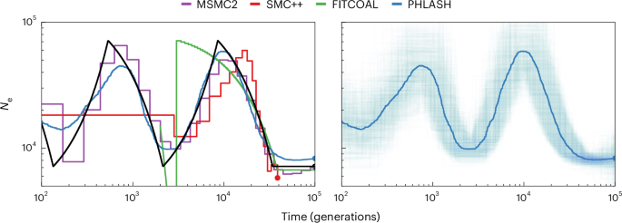 Accelerated Bayesian inference of population size history from recombining sequence data