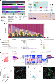 A spatial map of MAPK-activated immunosuppressive myeloid populations in pediatric low-grade glioma