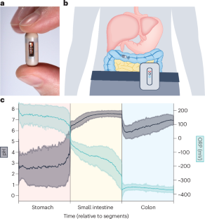 Ingestible sensors for redox balance