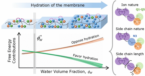 The Role of Water Volume Fraction on Water Adsorption in Anion Exchange Membranes