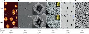 The rising danger of AI-generated images in nanomaterials science and what we can do about it