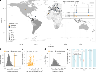 Beneficial reversal of dominance maintains a large-effect resistance polymorphism under fluctuating insecticide selection
