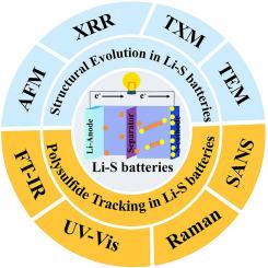 Inside lithium–sulfur batteries: Real-time multimodal insights into structure and polysulfide dynamics