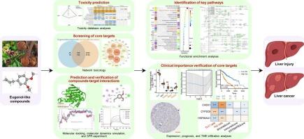 Unveiling the toxicity secrets of eugenol-like compounds: from interaction mechanisms to treatment strategies