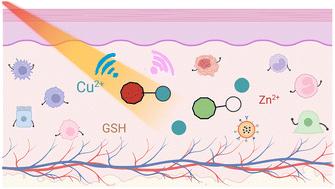 Small-molecule photoacoustic probes for in vivo imaging