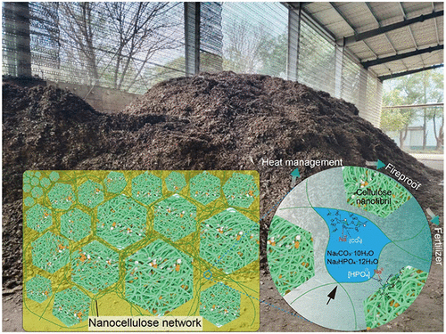 Hierarchical-Morphology Lignocellulosic Thermostat for High-Efficiency Thermal Management