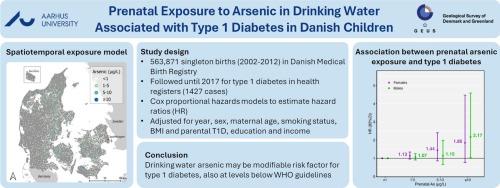 Prenatal exposure to arsenic in drinking water and type 1 diabetes in a nationwide population-based cohort of Danish children