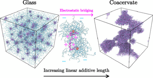 Characterizing the Structural Conformation of Highly Charged Star-Linear Polyelectrolyte Mixtures in Solution