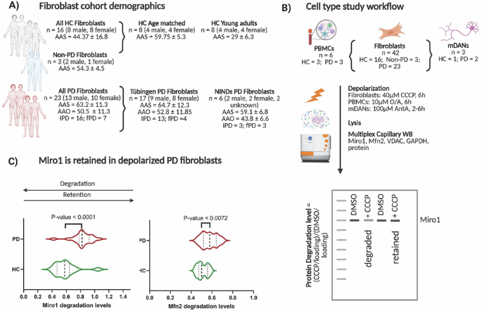 Methodological validation of Miro1 retention as a candidate Parkinson’s disease biomarker