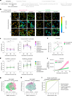 Label-free metabolic imaging monitors the fitness of chimeric antigen receptor T cells