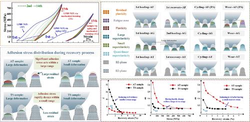 Improving the superelastic wear resistance of laser powder bed fusing (LPBF) Ni-rich NiTi alloys by mechanical training