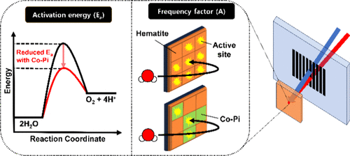 Estimations of the Activation Energies for the Charge Transfers of the Long-Lived Holes at the Semiconductor/Electrolyte Interfaces of α-Fe2O3 and α-Fe2O3/Co–Pi Photoanodes