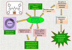 Assessing the anti-leukemic efficacy of a curcuminoid in cellular and animal models