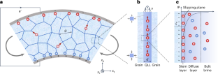 Streaming flexoelectricity in saline ice