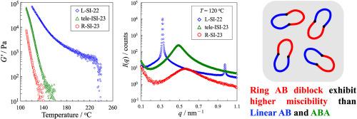 Miscibility enhancement in a symmetric ring diblock copolymer melt due to topological constraint studied by SAXS and rheology