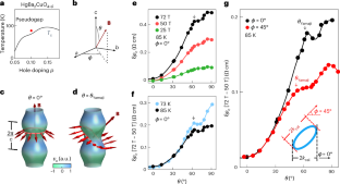 Observation of the Yamaji effect in a cuprate superconductor