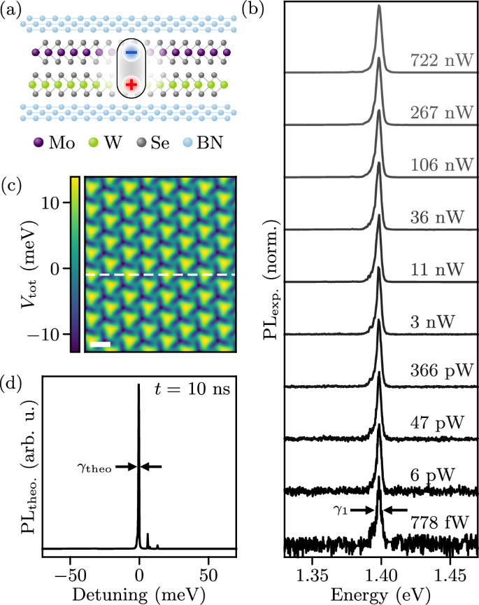 Laterally extended states of interlayer excitons in reconstructed MoSe2/WSe2 heterostructures