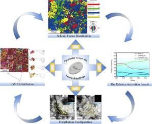  Slip-dominated deformation mechanisms and tensile anisotropy of rolled Mg-6.3Gd-3Li-2Zn-0.5Al alloy based on crystal plasticity analysis