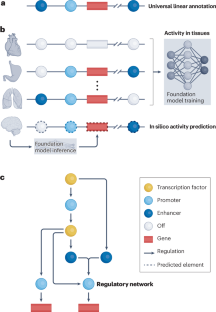 Regulatory genome annotation