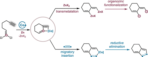 Divergent Transformations of Cobaltacyclobutenes Generated from [2 + 2]-Cycloadditions of Vinylidenes and Alkynes