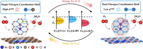 Dual-Nitrogen Coordination Shell Engineering in o-B2N2 Monolayer Supported Dual-Atom Catalysts for Oxygen Reduction Reaction