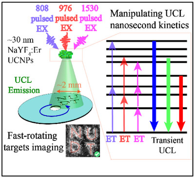 Temporal Evolution Kinetics of Upconversion Population Distribution Resulting in Transient Luminescence Enhancement