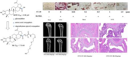 Synthesis and biological evaluation of C-28-modified pyrazole-fused betulinic acid derivatives as potent antiosteoporosis agents