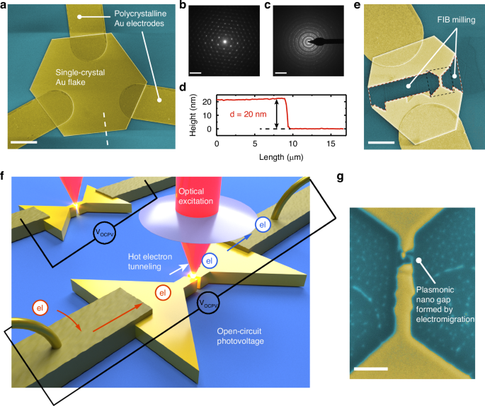 On-chip single-crystal plasmonic optoelectronics for efficient hot carrier collection and photovoltage detection