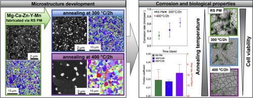 The role of microstructure on the degradation behavior and biocompatibility of Mg-Ca-Zn-Y-Mn alloy