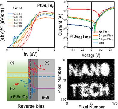 Compositionally Tunable 2D PtSexTey Alloys Synthesized via Thermally Assisted Conversion for Mid-Wave Infrared Photodetection