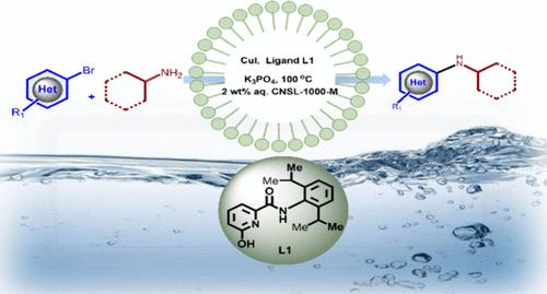 Designing of Bifunctional Ligand for Effective Cu(I)-Catalyzed C–N Cross-Coupling in Aqueous Micellar Conditions