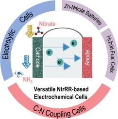 Versatile electrochemical cells based on nitrate reduction reaction