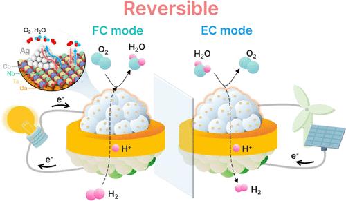 Promotion of Reversible Fuel-Power Generation in Protonic Ceramic Electrochemical Cell via Water-Mediated Ex-Solution