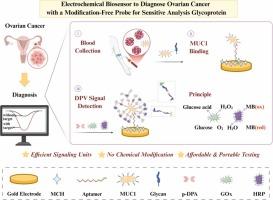 A new approach to sensitively analyze glycoprotein with MUC1 as an example for the diagnosis of ovarian cancer